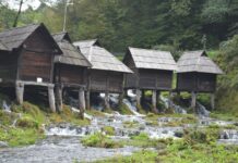 A Story of Tragedy and Isolation