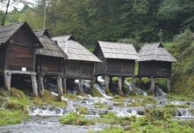 Sultan Abdul Hamid’s Children